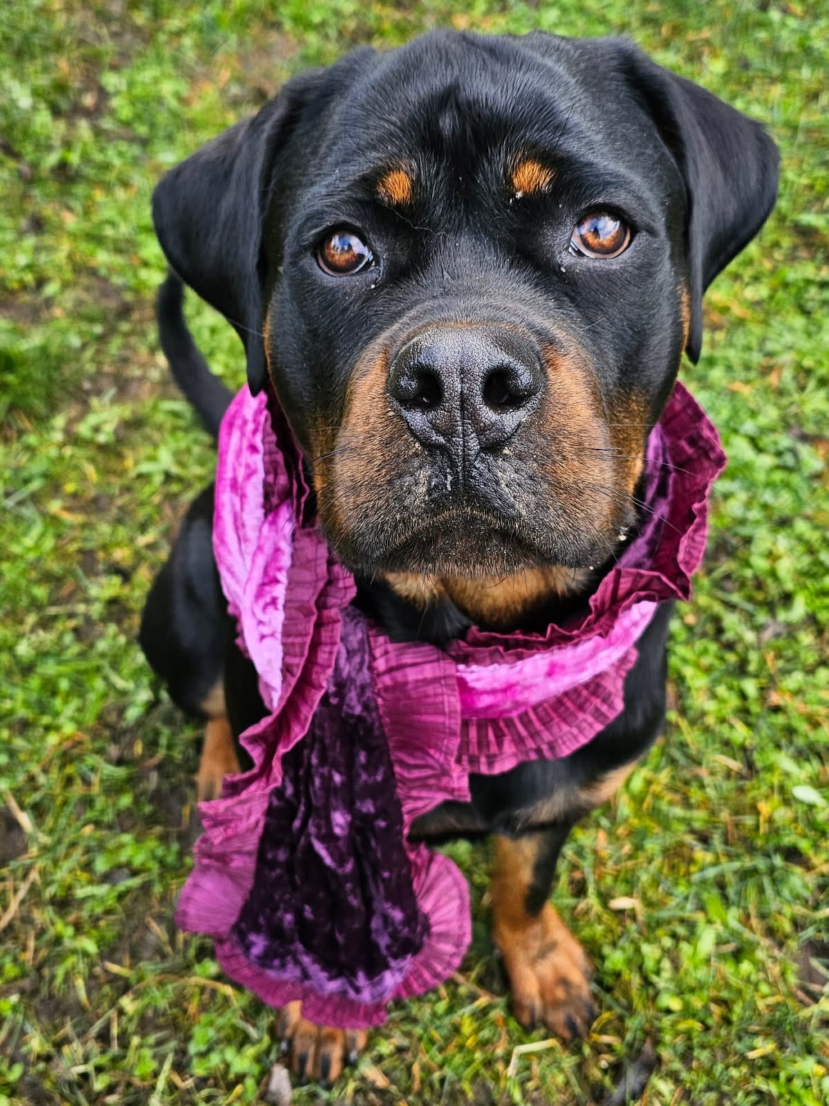 WhatsApp Ivzezvmage 2026-02-20 at 09.43.34.jpeg